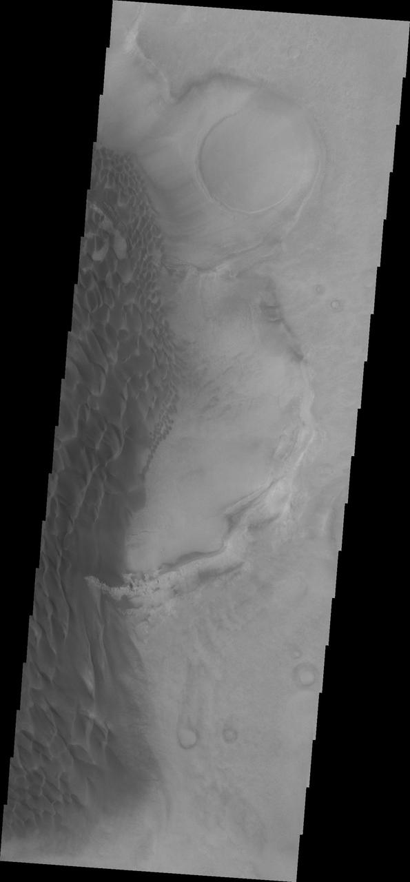 The sand sheet and dune forms in this image from NASA Mars Odyssey spacecraft are located on the floor of Rabe Crater.