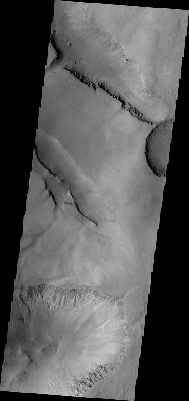 This image captured by NASA 2001 Mars Odyssey spacecraft shows gullies on the northern face of one of the large depressions that mark the inner rim of Asimov Crater.