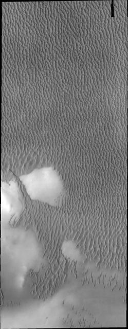 This image captured by NASA 2001 Mars Odyssey spacecraft shows a small portion of Olympia Undae, the largest dune field near the north polar cap.