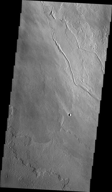 The channels in this image from NASA 2001 Mars Odyssey spacecraft were created by the flow of lava rather than water. These lava channels are near the northeast flank of Olympus Mons.