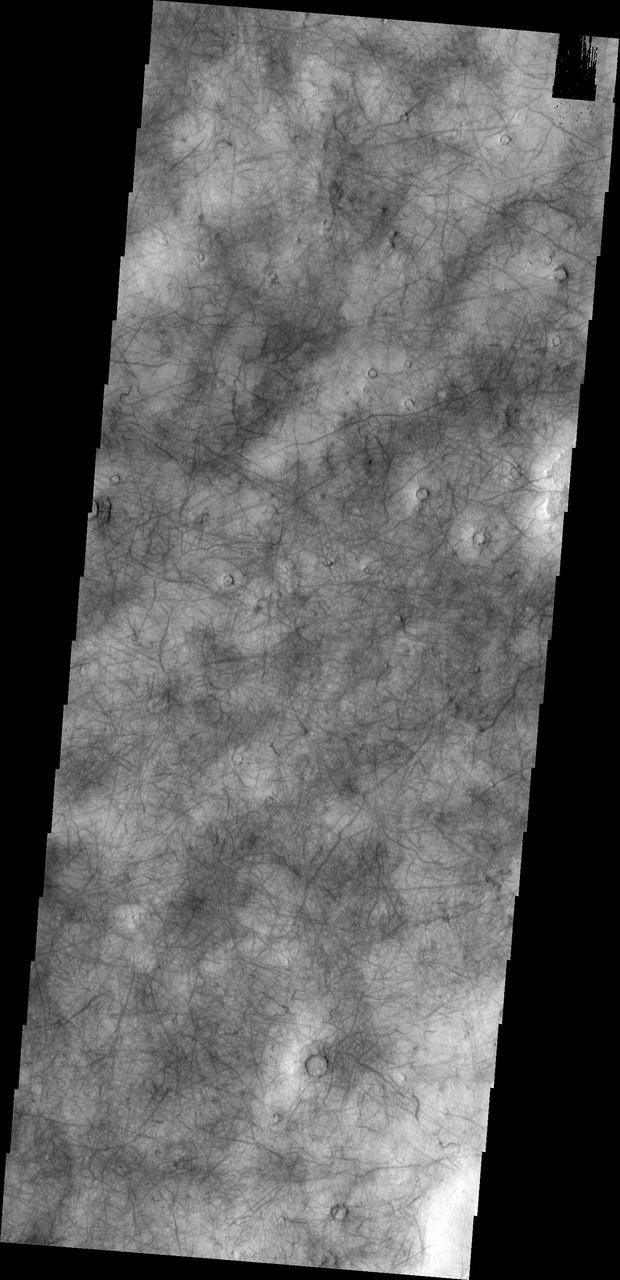 This image shows a portion of Utopia Planitia that is covered by dust devil tracks as seen by NASA 2001 Mars Odyssey spacecraft.