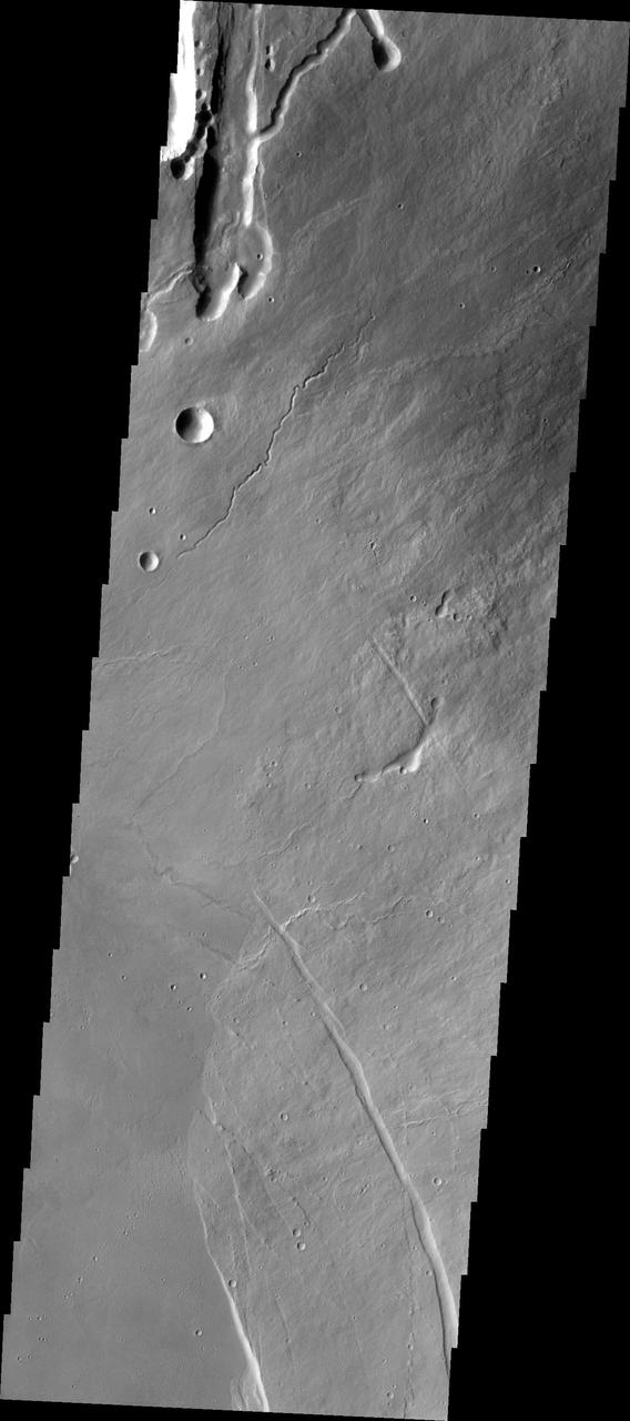 The lava channels and collapse features in this image from NASA 2001 Mars Odyssey spacecraft are located near the summit of Arsia Mons. The fracture in the lower right part of the image marks the boundary of the summit caldera.