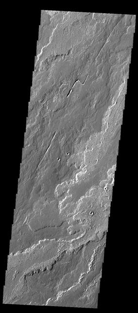 NASA image: Daedalia Planum