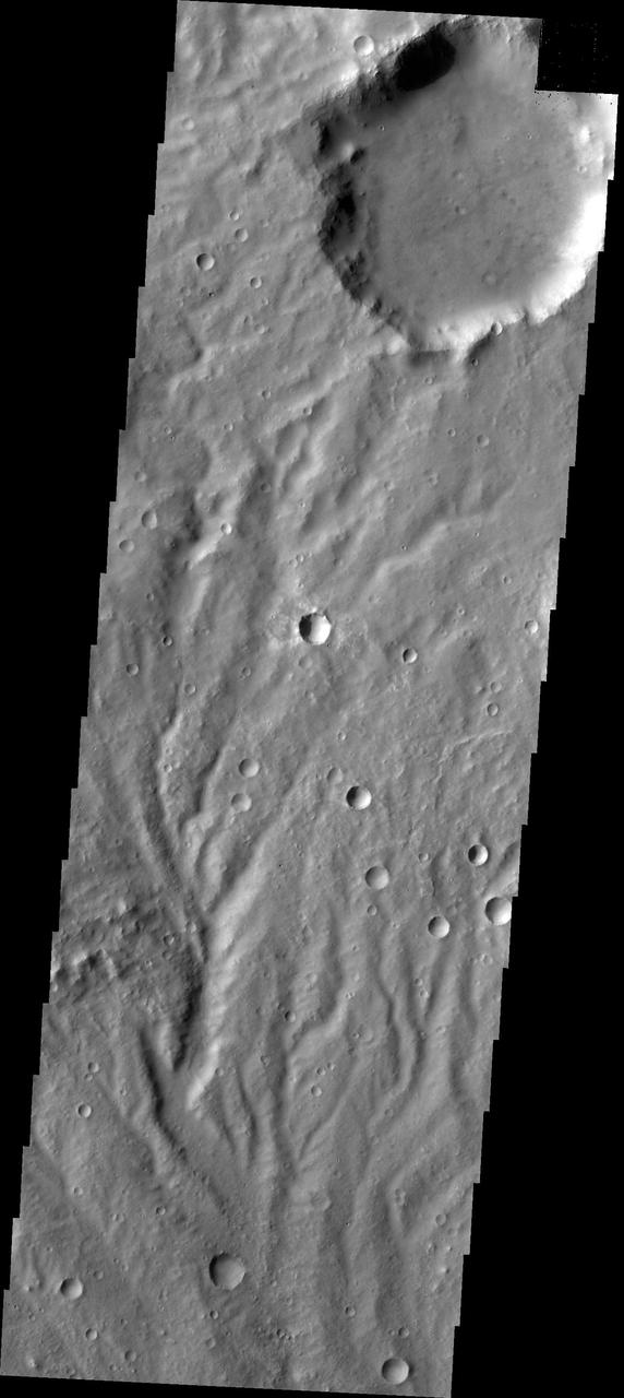 The channels in this image captured by NASA 2001 Mars Odyssey spacecraft are dissecting a slope near Huygens Crater.