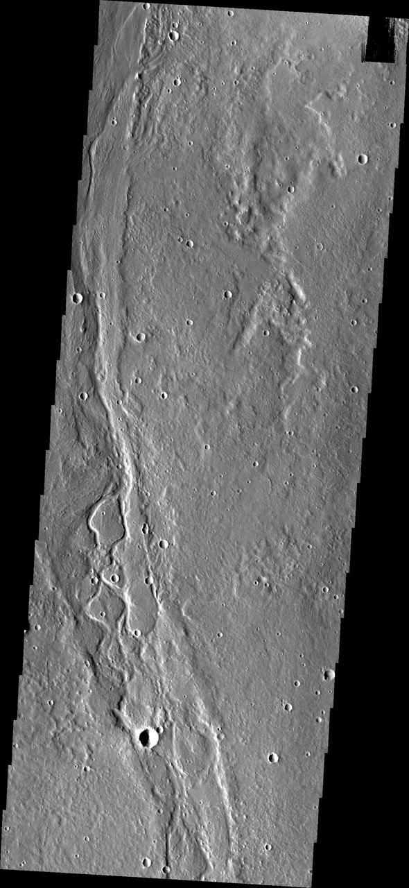 The channels in this image captured by NASA 2001 Mars Odyssey spacecraft are part of Enipeus Vallis.