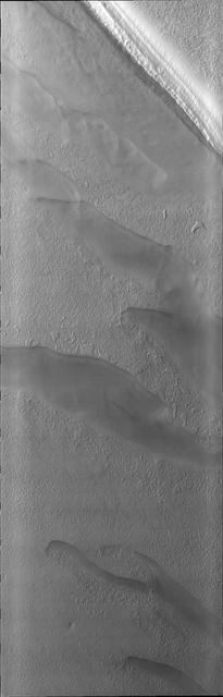 As spring progresses at the south pole, the surface reacts to the change of season. This image from NASA 2001 Mars Odyssey spacecraft shows a region of the south pole that is monitored throughout spring, summer, and fall at the south pole.