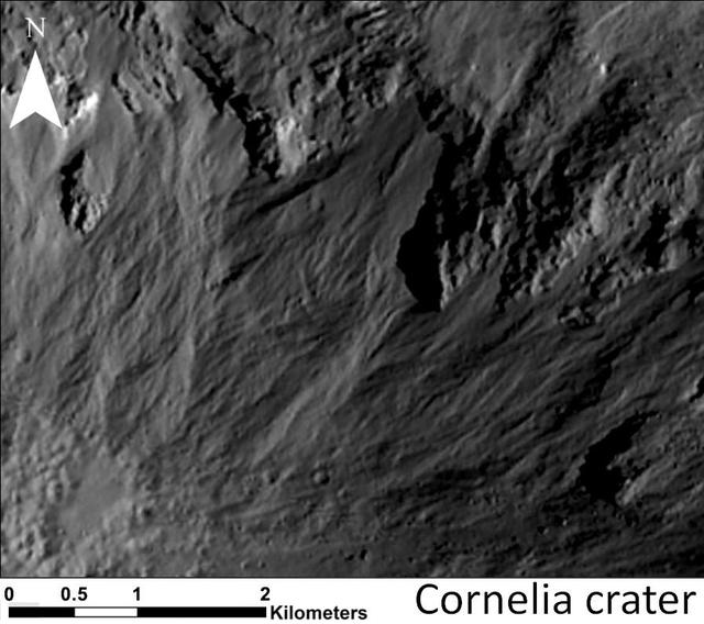 This image shows a close-up of long, narrow, sinuous gullies that scientists on NASA Dawn mission have found on the giant asteroid Vesta. The crater shown here is called Cornelia.