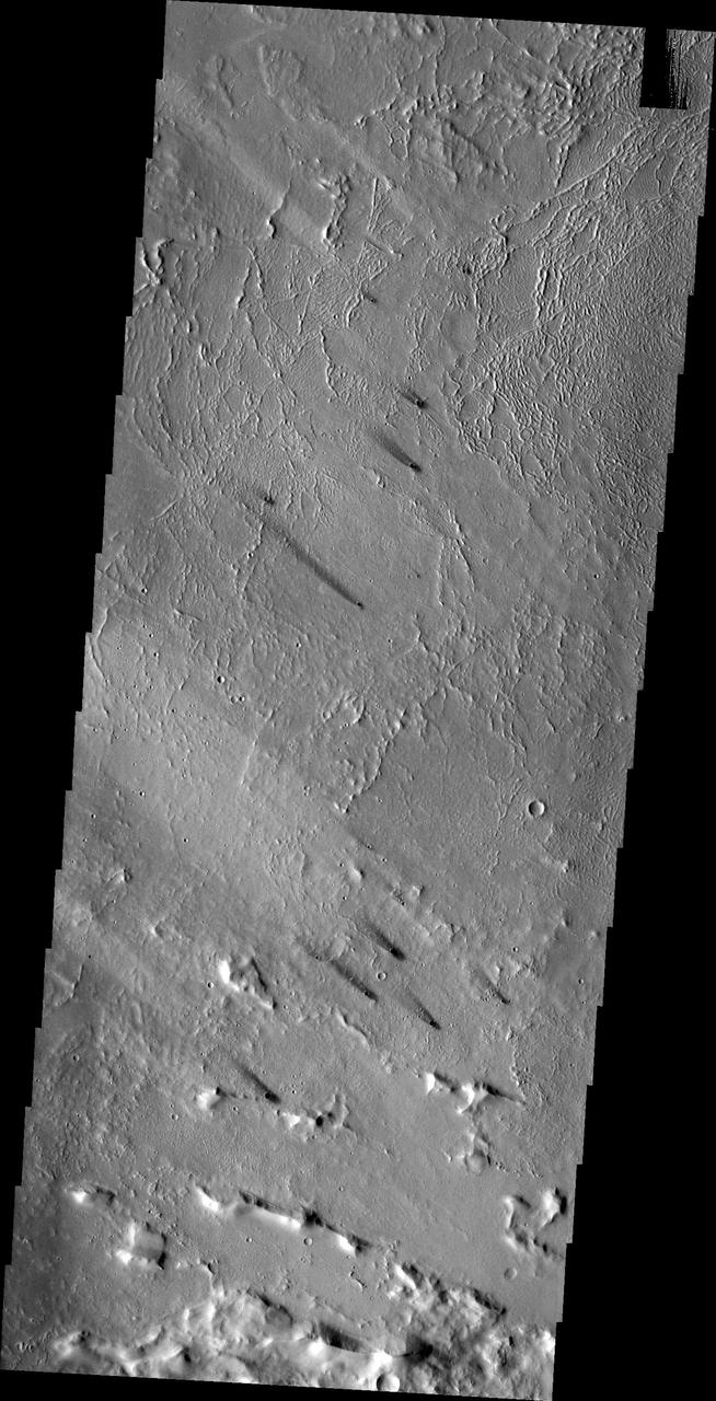 The small dark windstreaks as seen by NASA 2001 Mars Odyssey spacecraft are located near Lycus Sulci.
