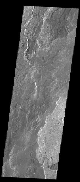 NASA image: Daedalia Planum