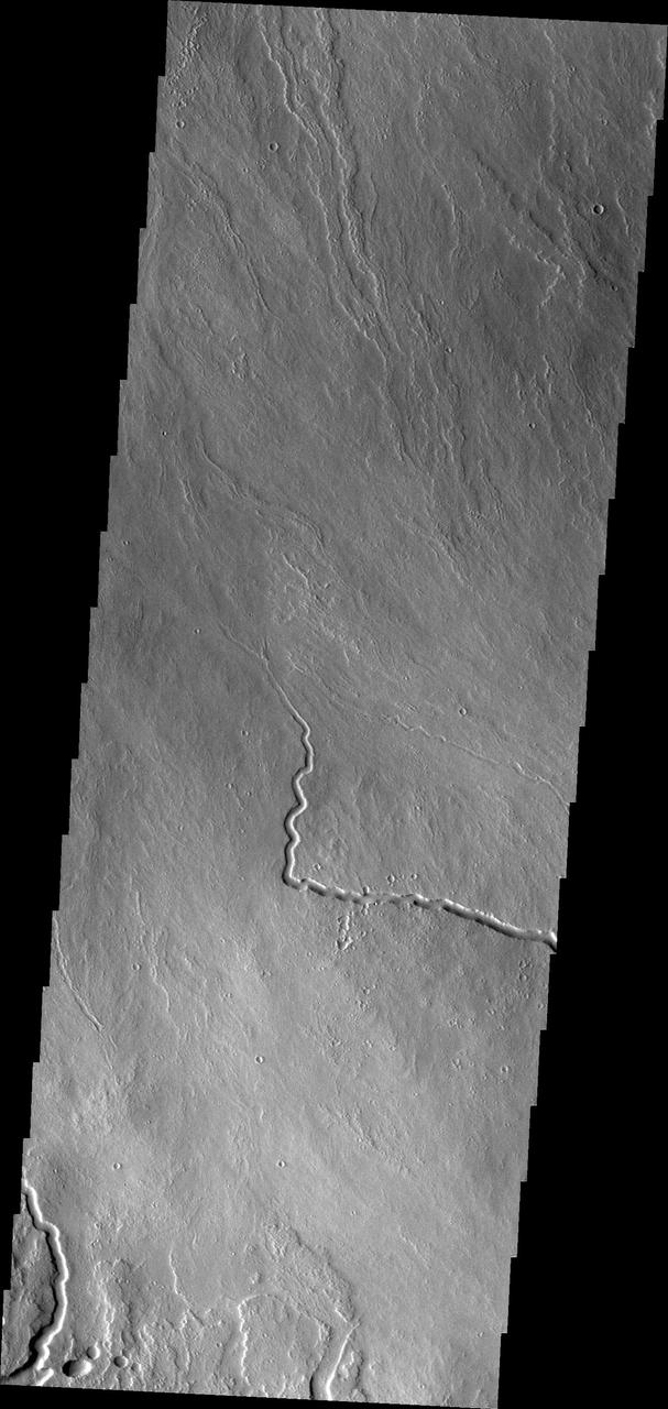 The lava channels in this image from NASA 2001 Mars Odyssey spacecraft are located on the northern flank of Ascraeus Mons.
