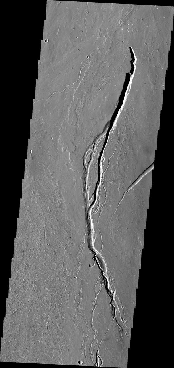 The lava channels in this image from NASA 2001 Mars Odyssey spacecraft are located on the southern flank of Ascraeus Mons.