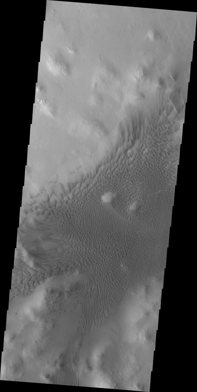 Lyot Crater Dunes
