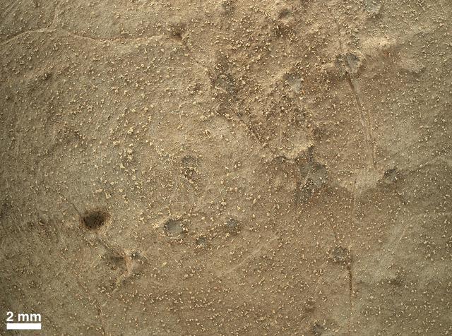 This image from the MAHLI camera on NASA Mars rover Curiosity shows details of rock texture and color in an area where the rover Dust Removal Tool DRT brushed away dust that was on the rock.