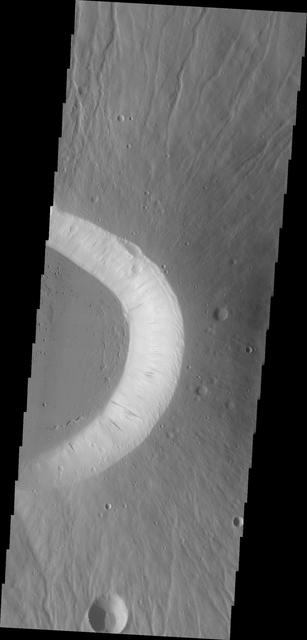 NASA image: Ceraunius Tholus