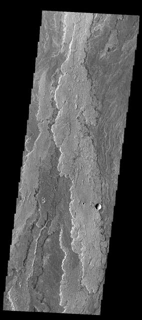 NASA image: Daedalia Planum