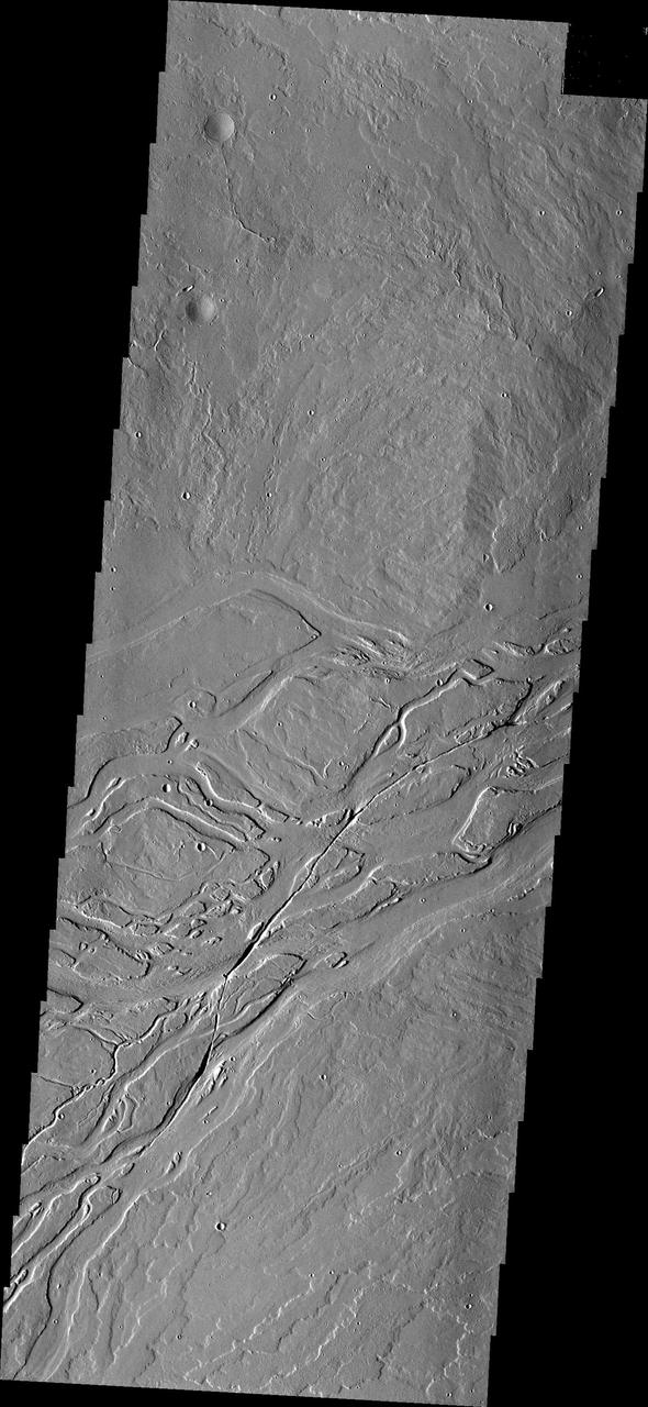 This image captured by NASA 2001 Mars Odyssey spacecraft shows lava channels in the Tharsis plains.