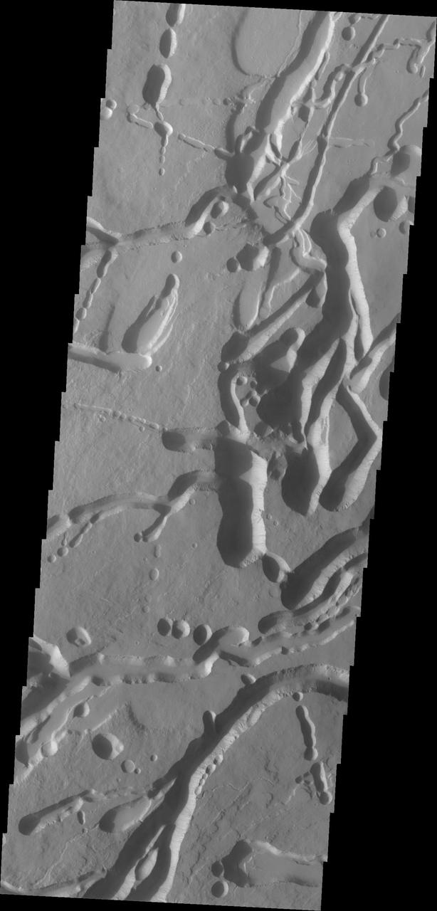 The collapse features in this image captured by NASA 2001 Mars Odyssey spacecraft are located on the northern flank of Ascreaus Mons.