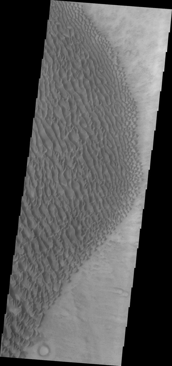 This image from NASA 2001 Mars Odyssey spacecraft shows part of the large sand sheet and surface dune forms on the floor of Proctor Crater.