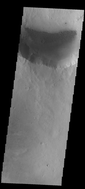 This image from NASA 2001 Mars Odyssey spacecraft shows sand dunes on the floor of an unnamed crater near Meridiani Planum.