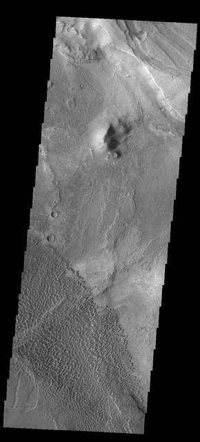 This image captured by NASA 2001 Mars Odyssey spacecraft shows the dune field on the floor of Nili Patera.
