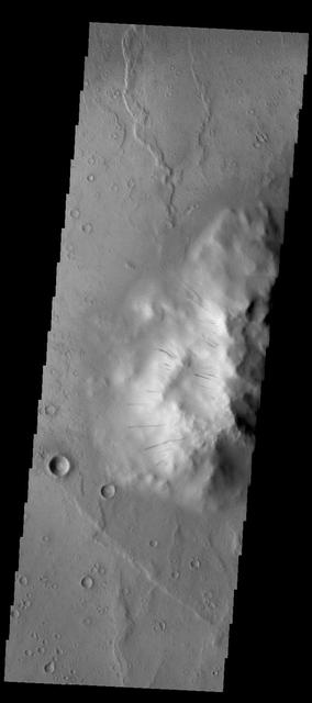 Dark slope streaks mark the side of the central peak on the floor of Cobres Crater in this image captured by NASA 2001 Mars Odyssey spacecraft.