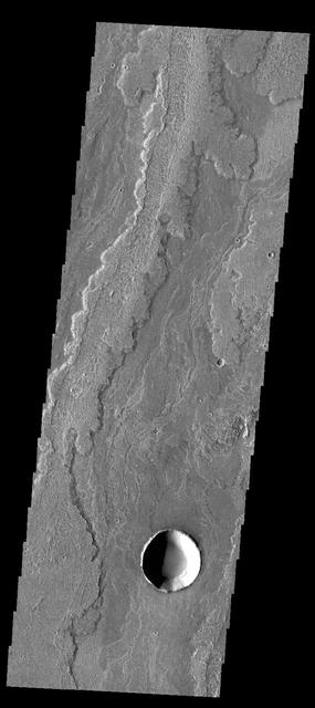 NASA image: Daedalia Planum