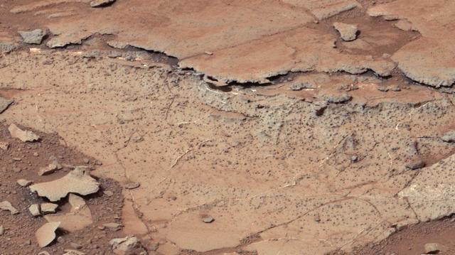 This image from the right Mast Camera Mastcam of NASA Curiosity Mars rover shows roughly spherical features.