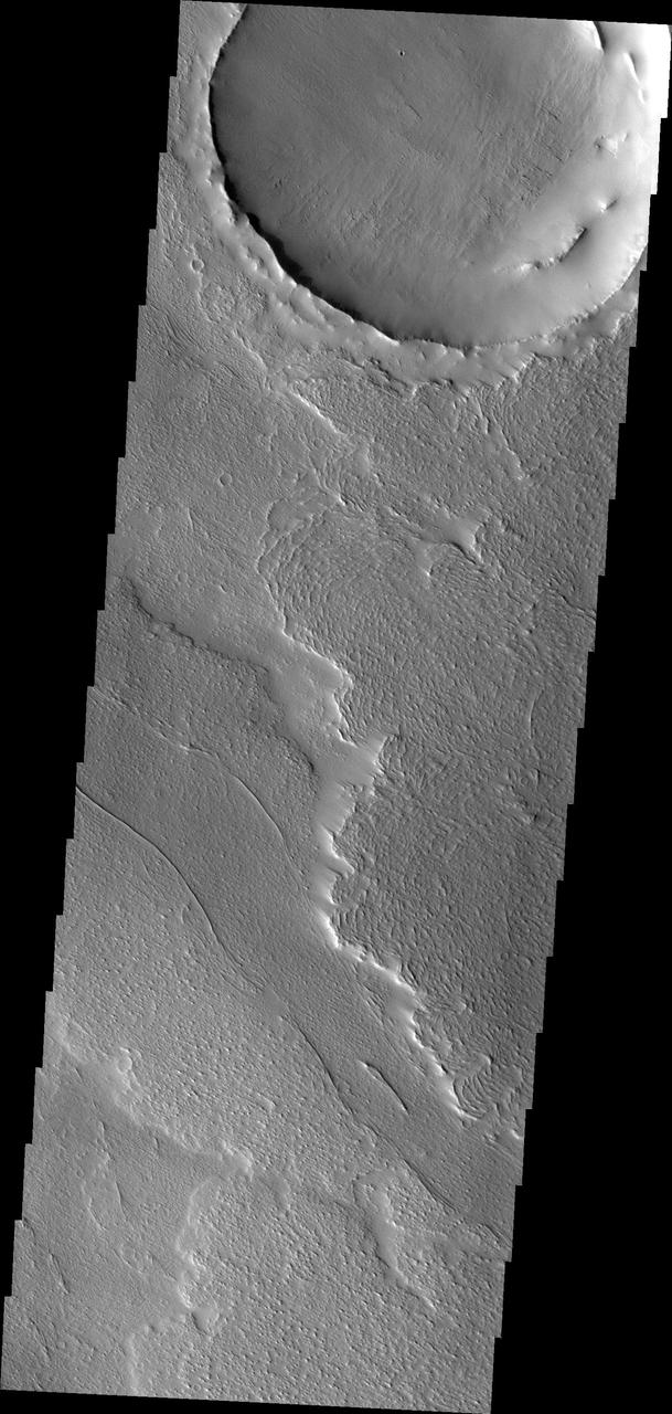 The lava flows in this image captured by NASA 2001 Mars Odyssey spacecraft are located on the northeastern margin of Daedalia Planum. Wind deposits are visible in the lee of the flow fronts.