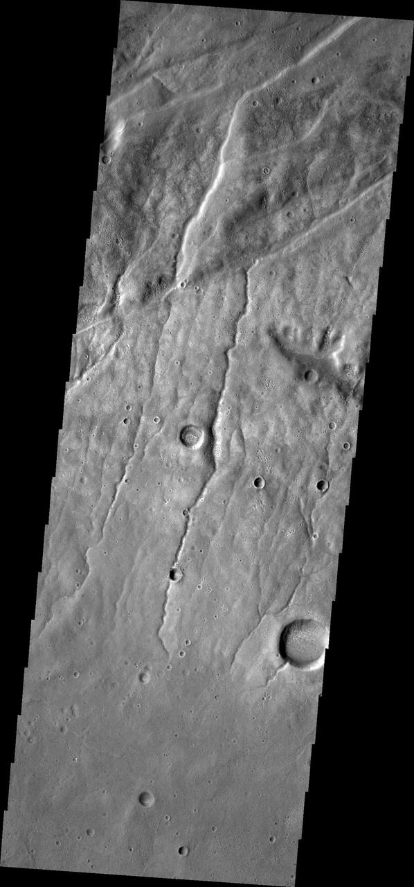 This image from NASA 2001 Mars Odyssey spacecraft of the Claritas Fossae region illustrates how fractures affect other features. In this instance, the fractures control the path of several channels from upper right towards lower left.