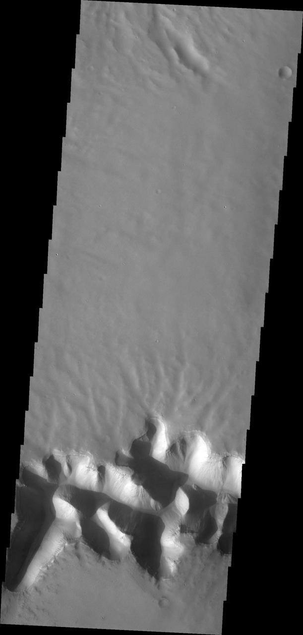 The mega gully in this image from NASA 2001 Mars Odyssey spacecraft empties into Echus Chasma.