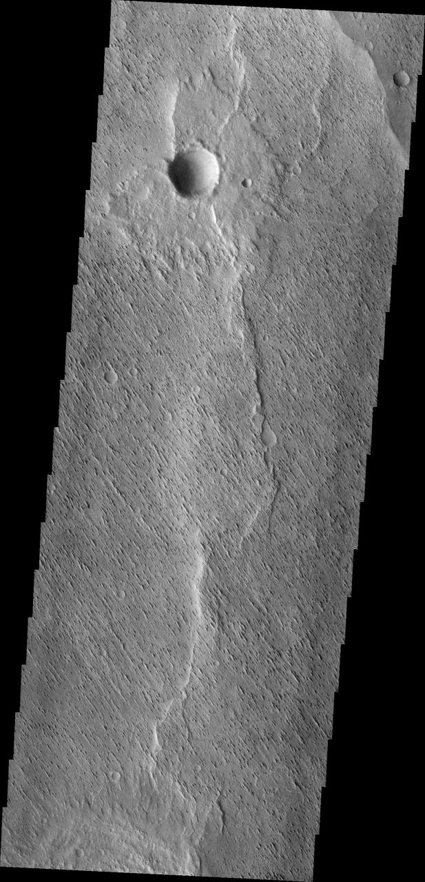 The small parallel ridges in this image captured by NASA 2001 Mars Odyssey spacecraft were created by the erosive power of wind blown particles.