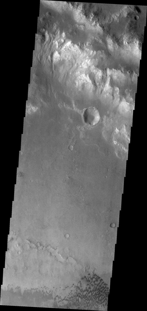 The small dark dunes in this image captured by NASA 2001 Mars Odyssey spacecraft are located on the floor of Holden Crater.