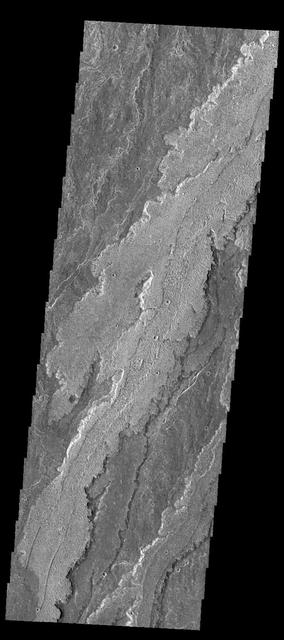 NASA image: Daedalia Planum