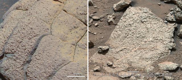 This set of images compares rocks seen by NASA Opportunity rover and Curiosity rover at two different parts of Mars.