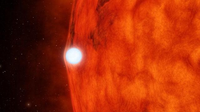 NASA image: Dead Star Warps Light of Red Star Artist Animation