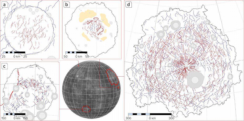Tectonic Complexity in Mercury Impact Features