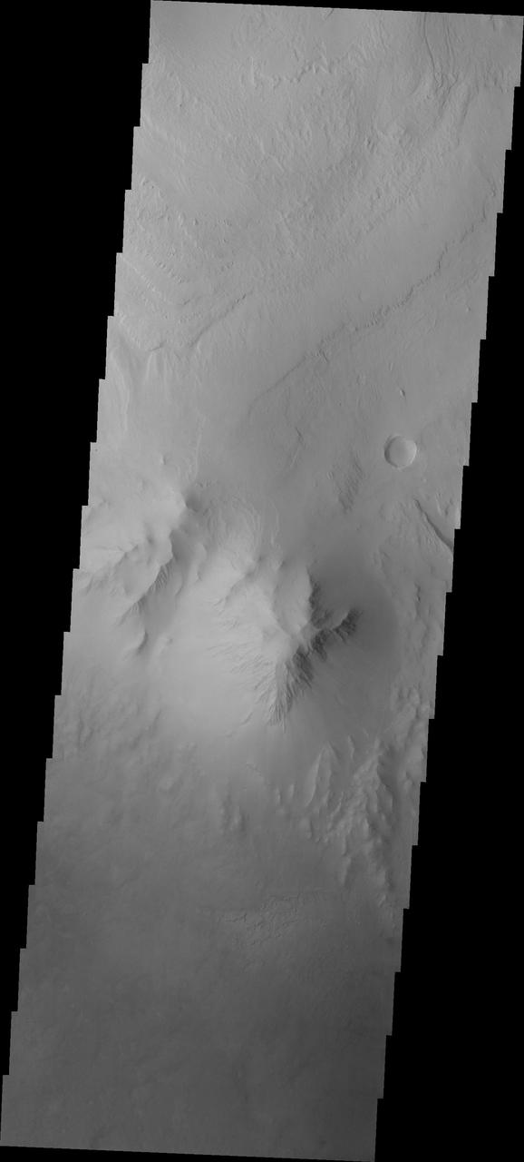 This image from NASA Mars Odyssey spacecraft shows the highest elevation of layered deposit occurs at the top, but just south of the center of the image is a peak that does not appear to be layered and is eroding differently than the rest of Mt. Sharp.