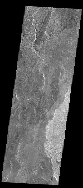 This image from NASA Mars Odyssey spacecraft shows some of the extensive lava flows that originate at Arsia Mons.
