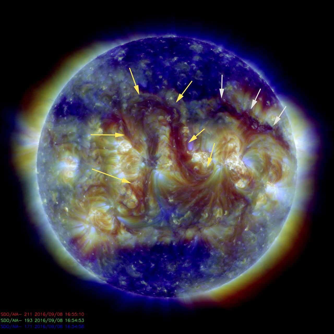 The two most noteworthy features on the sun this week were a pair of elongated filaments (Sept. 8, 2016). The central one was twisted into the shape of an elaborate arch at the center of the sun (yellow arrows). If this were straightened out, it would extend just about across the entire sun, almost a million miles (1.6 million Km). The other, smaller filament, (white arrows) if made straight, might reach about half that distance. Still, pretty impressive. Filaments are elongated strands of plasma suspended above the sun by magnetic forces. They are notoriously unstable and often break apart within a few days. The image was made by combining three images in different wavelengths of extreme ultraviolet light http://photojournal.jpl.nasa.gov/catalog/PIA16996