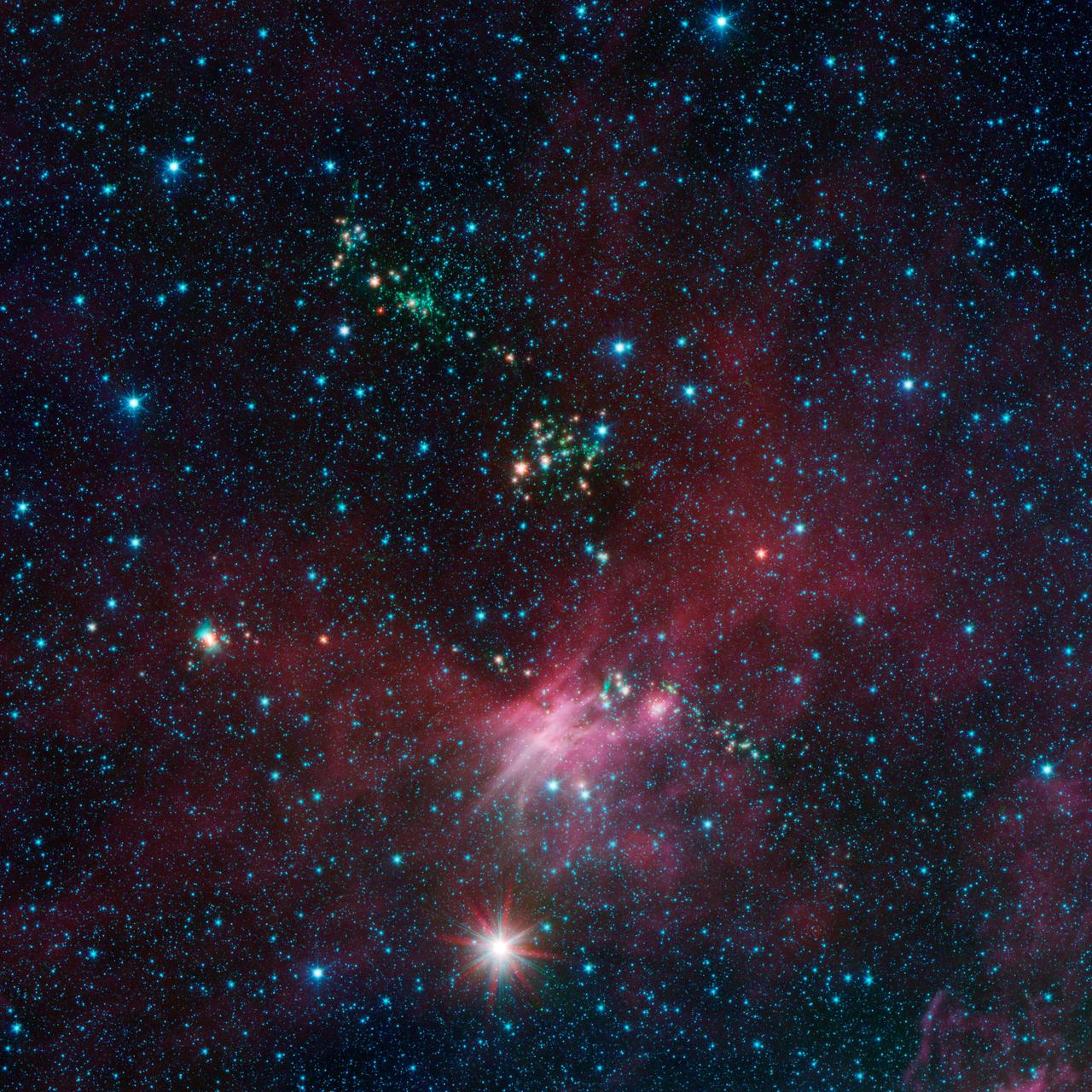 Dozens of newborn stars sprouting jets from their dusty cocoons have been spotted in images from NASA Spitzer Space Telescope. This view shows a portion of sky near Canis Major.
