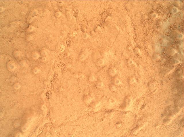 This image taken by the Mars Hand Lens Imager MAHLI on NASA Mars rover Curiosity shows the texture of the patch of flat-lying bedrock called Cumberland, which was the mission second target for use of the rover sample-collecting drill.