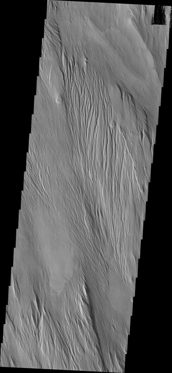 This image from NASA Mars Odyssey spacecraft shows wind erosion that has formed yardangs. These parallel sets of ridges and valley are formed by sandblasing poorly consolidated surface materials.