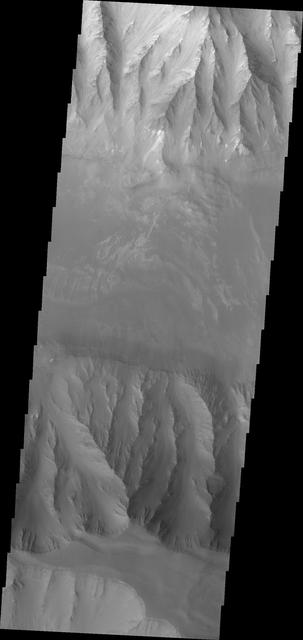 Coprates Chasma