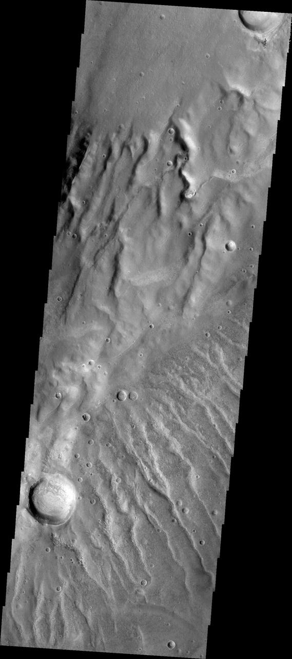 Numerous channels dissect both sides of this high spot south of Solis Planum in this image captured by NASA 2001 Mars Odyssey spacecraft.