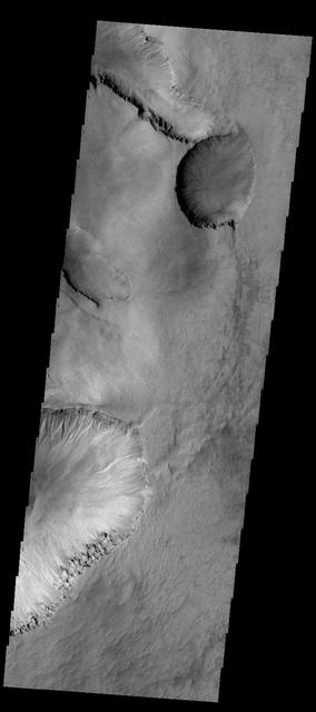 Asimov Crater