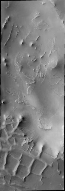These ridges near the south polar cap are called Angustus Labyrinthus, as shown in this image captured by NASA 2001 Mars Odyssey spacecraft.