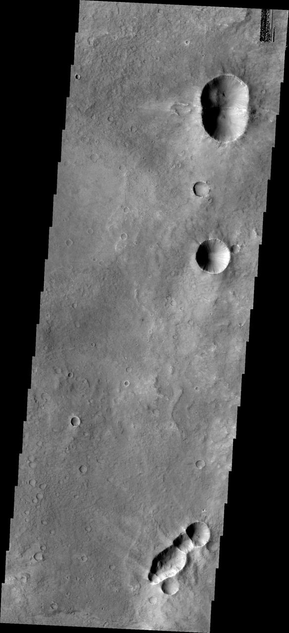 Do you see what I see in this image from NASA Mars Odyssey spacecraft? The connected craters at the top and bottom of this image look like bugs, perhaps a bumble bee at the top and a wasp at the bottom.