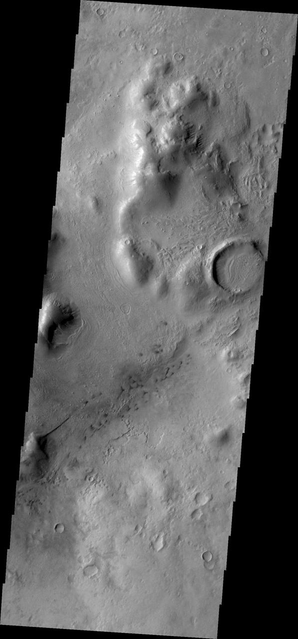 Do you see what I see in this image from NASA Mars Odyssey spacecraft? A long dune extends from the side of a hill on the bottom left side of this image. It looks like the beak of a humming bird.