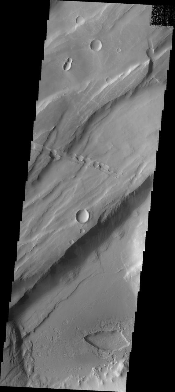 Do you see what I see in this image captured by NASA 2001 Mars Odyssey spacecraft? Another bug!