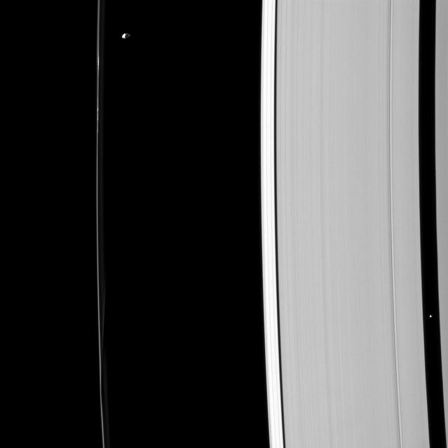Although their gravitational effects on nearby ring material look quite different, Prometheus and Pan are both shepherd moons, holding back nearby ring edges in this image captured by NASA Cassini spacecraft.